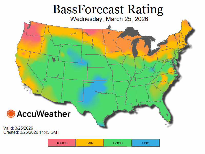 03.26.26-bass_bfrloop