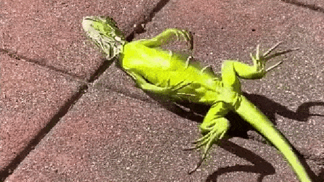 58eac00ecd451bf4e227febaf9c6051d