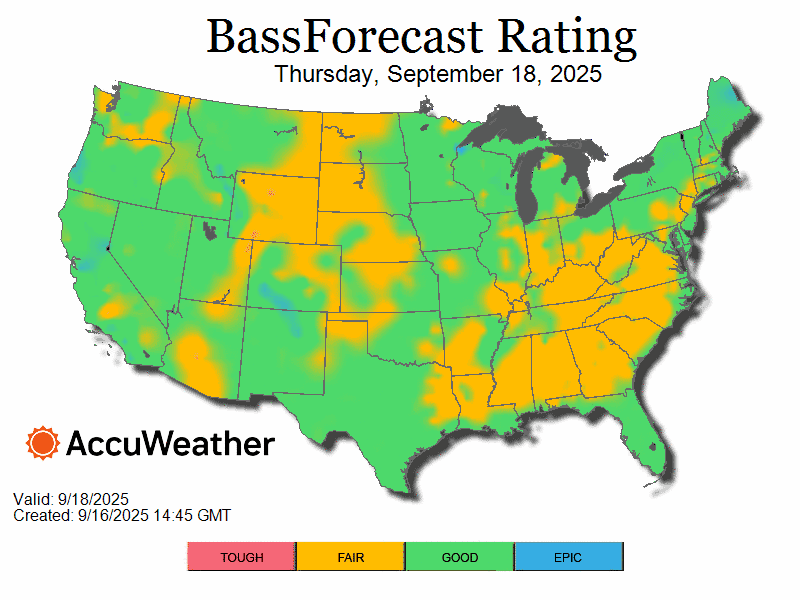 bass_bfr_loop_09.18.25