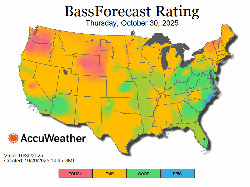 bass_bfrloop-10.29.25