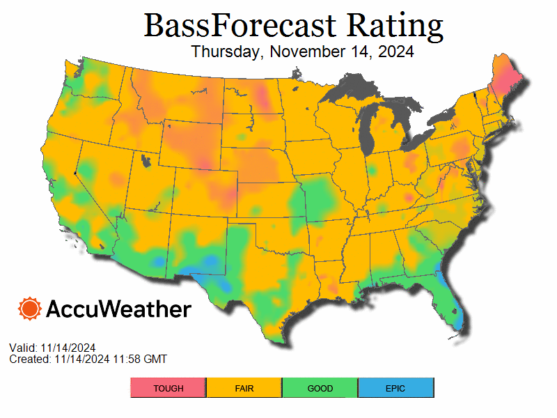 bass_bfrloop-1731616101