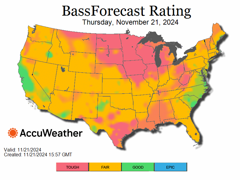 bass_bfrloop-1732219876