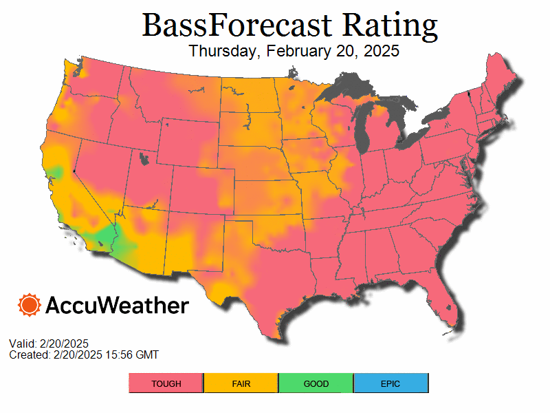 bass_bfrloop.2.20.25