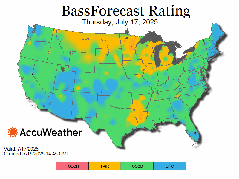 bass_bfrloop_thumbnail_7.17