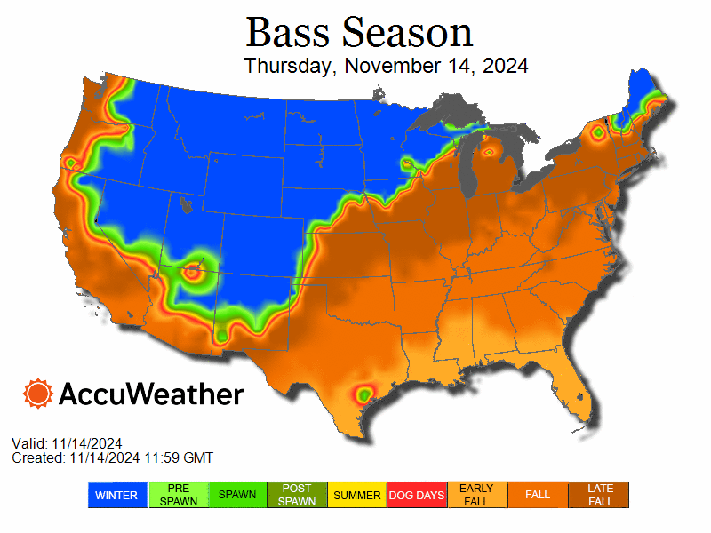 bass_bfrspawnloop-1731616186
