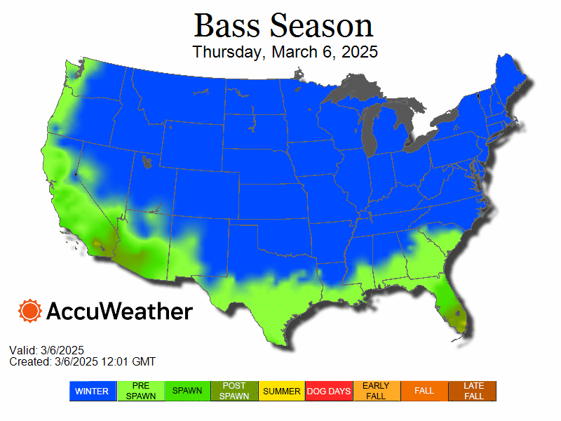 bass_bfrspawnloop_3_6_2025