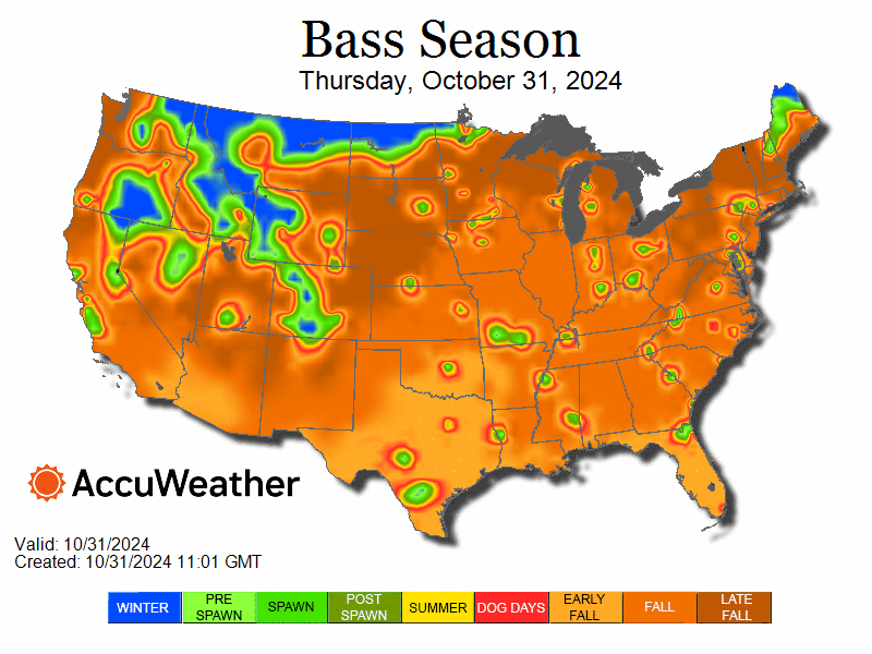 bass_bfrspawnloop_oct31.24