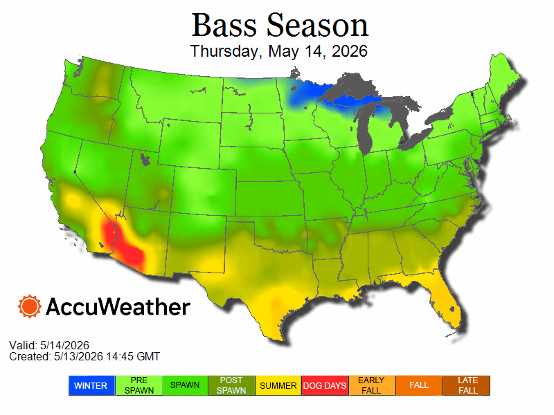 bass_season-loop-05.14.26