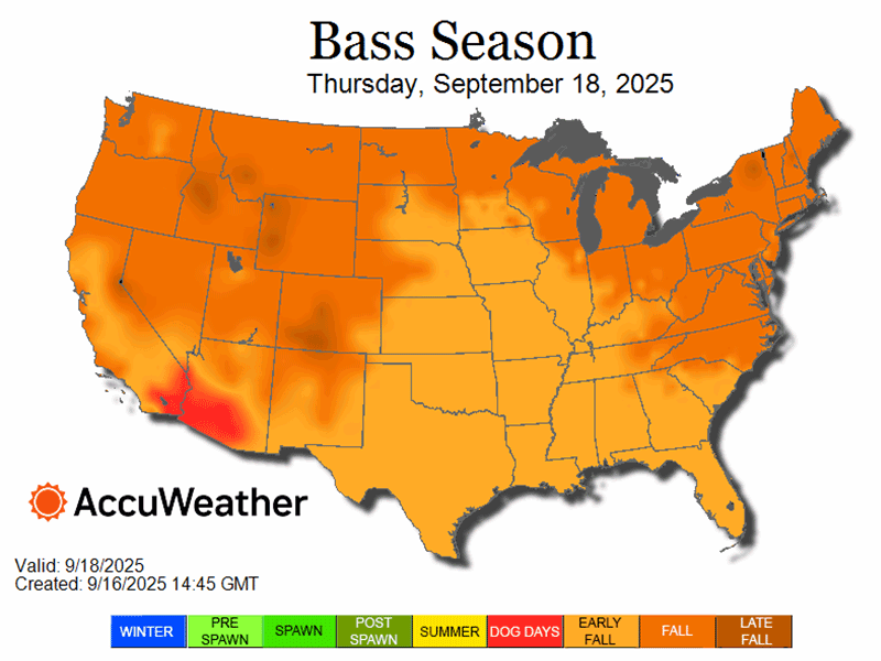 bass_season_loop_09.18.25