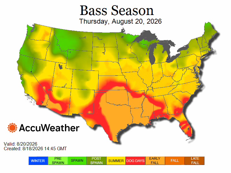 bass_spawn_loop-08.20.26