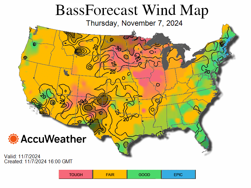 bass_wind_bfrloop-1731018299