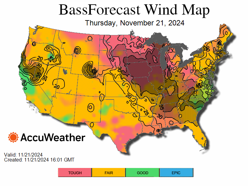 bass_wind_bfrloop-1732220036