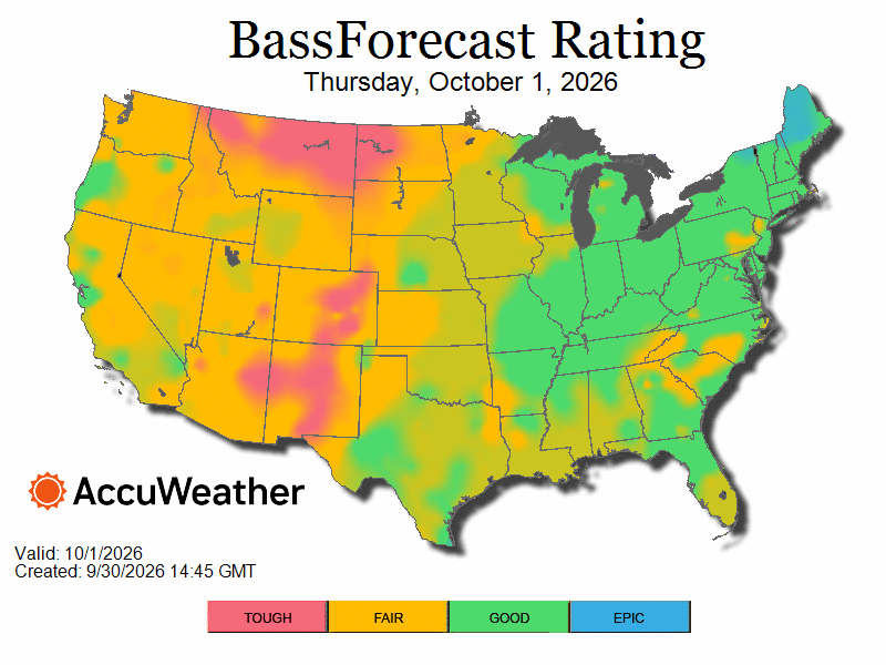 Bass Fishing Report