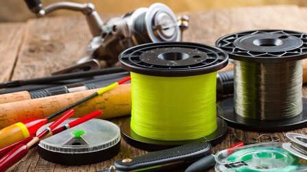 Best Fishing Line for Bass