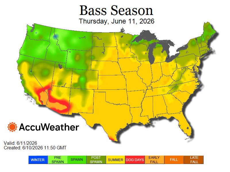 season_6.11.26