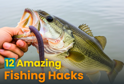 12-amazing-bass-fishing-hacks