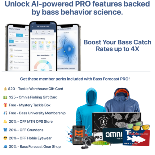 pro-users-refer-a-friend-hero---lg