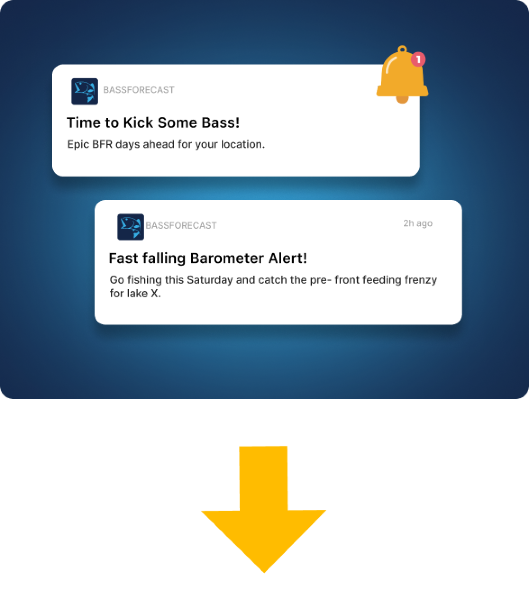 bass-alerts-hero