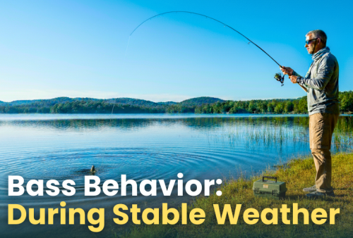 bass-behavior---during-stable-weather