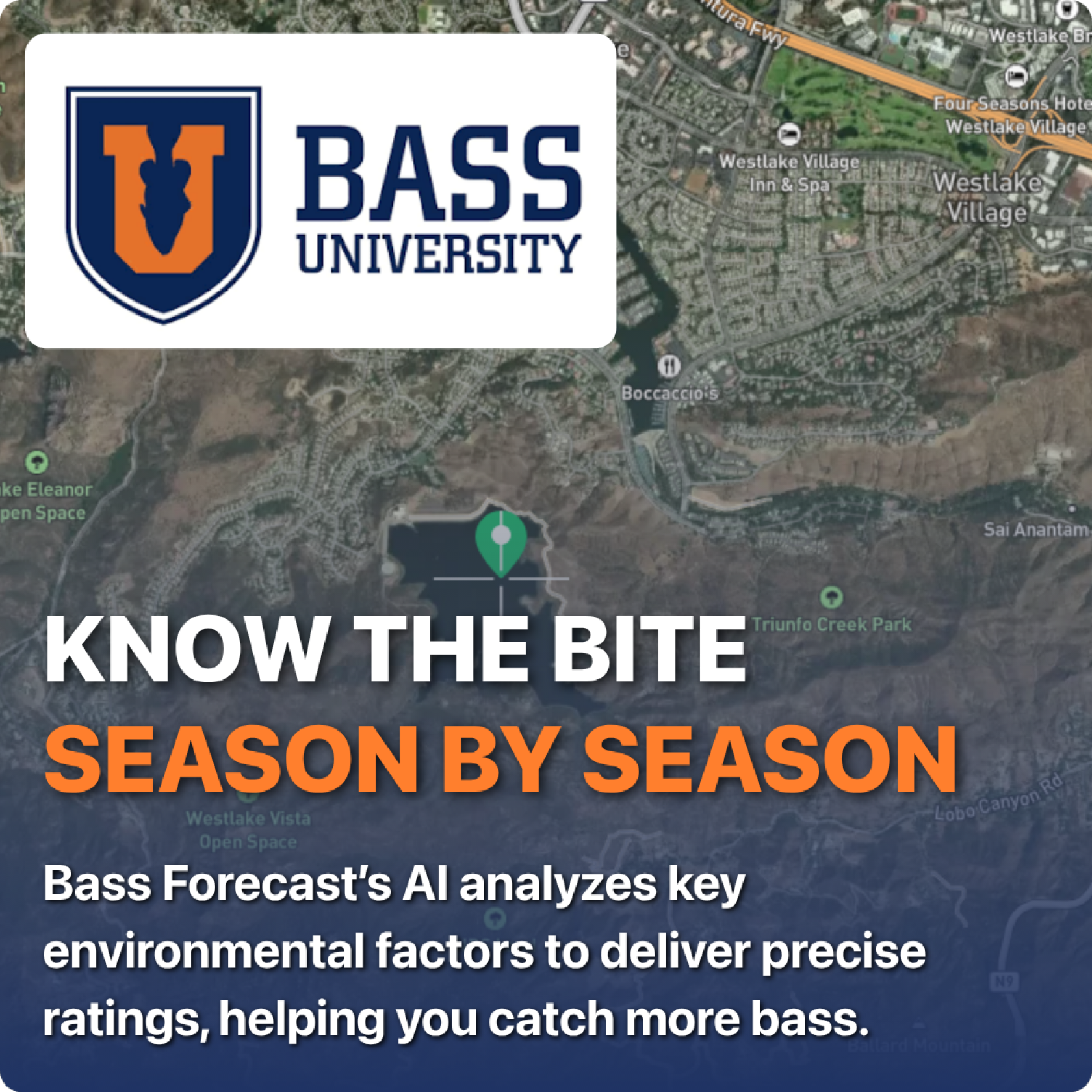 bass-university-landing-hero-09.10.26
