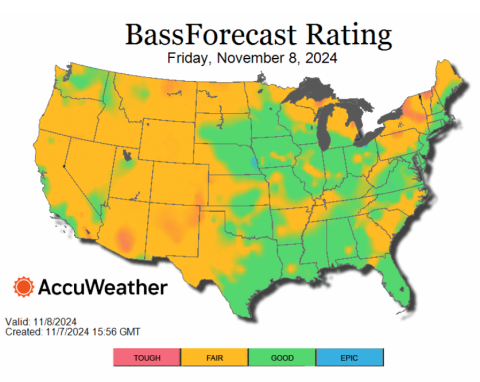 bass_bfr_dly_2_web_push