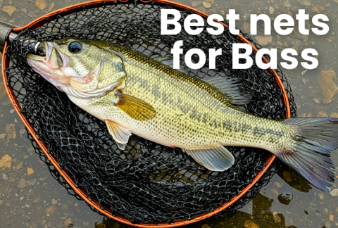 best-nets-for-bass-fishing