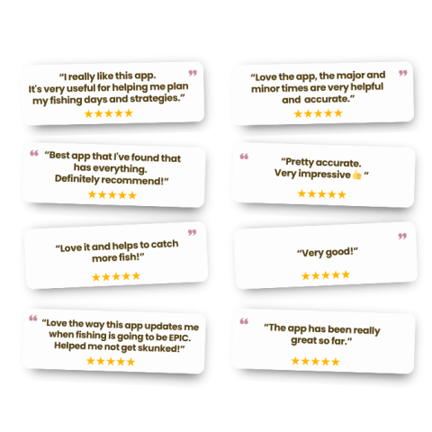 bf-customer-reviews-4.