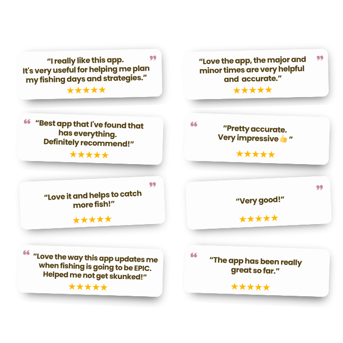 bf-customer-reviews-4.