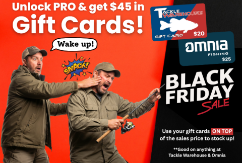 black-friday-sale-unlock-pro