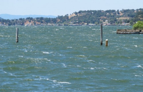 An angler adapting his bass fishing strategy according to the wind direction.