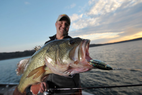 Norfok Lake fishing with Bass fish on hook and bait
