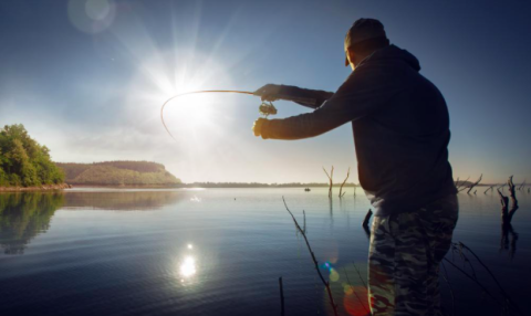 A Man Fishing for Bass from a Bank.