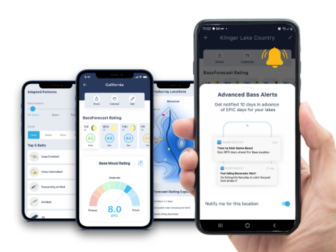 mobile-bass-alerts