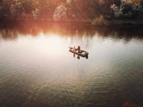 Where does bass go during the fall transition?