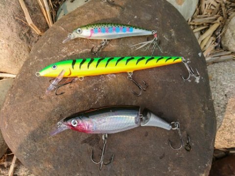 Different Types of Jerkbaits.