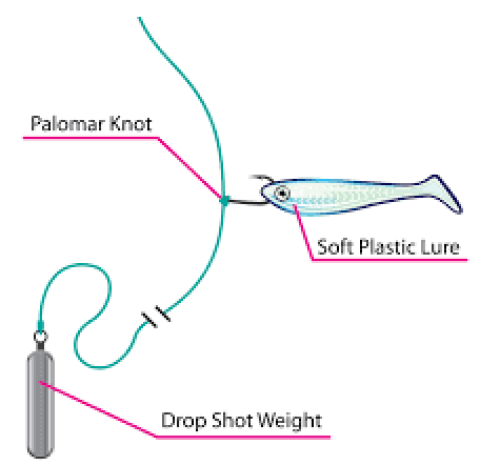 The drop shot rig is a rig typically used with soft plastic lures.