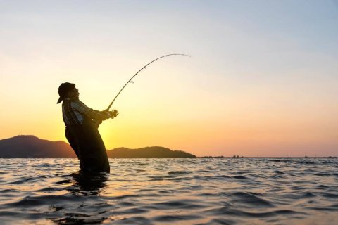 An angler standing in the water and fishing for bass without a live bait.