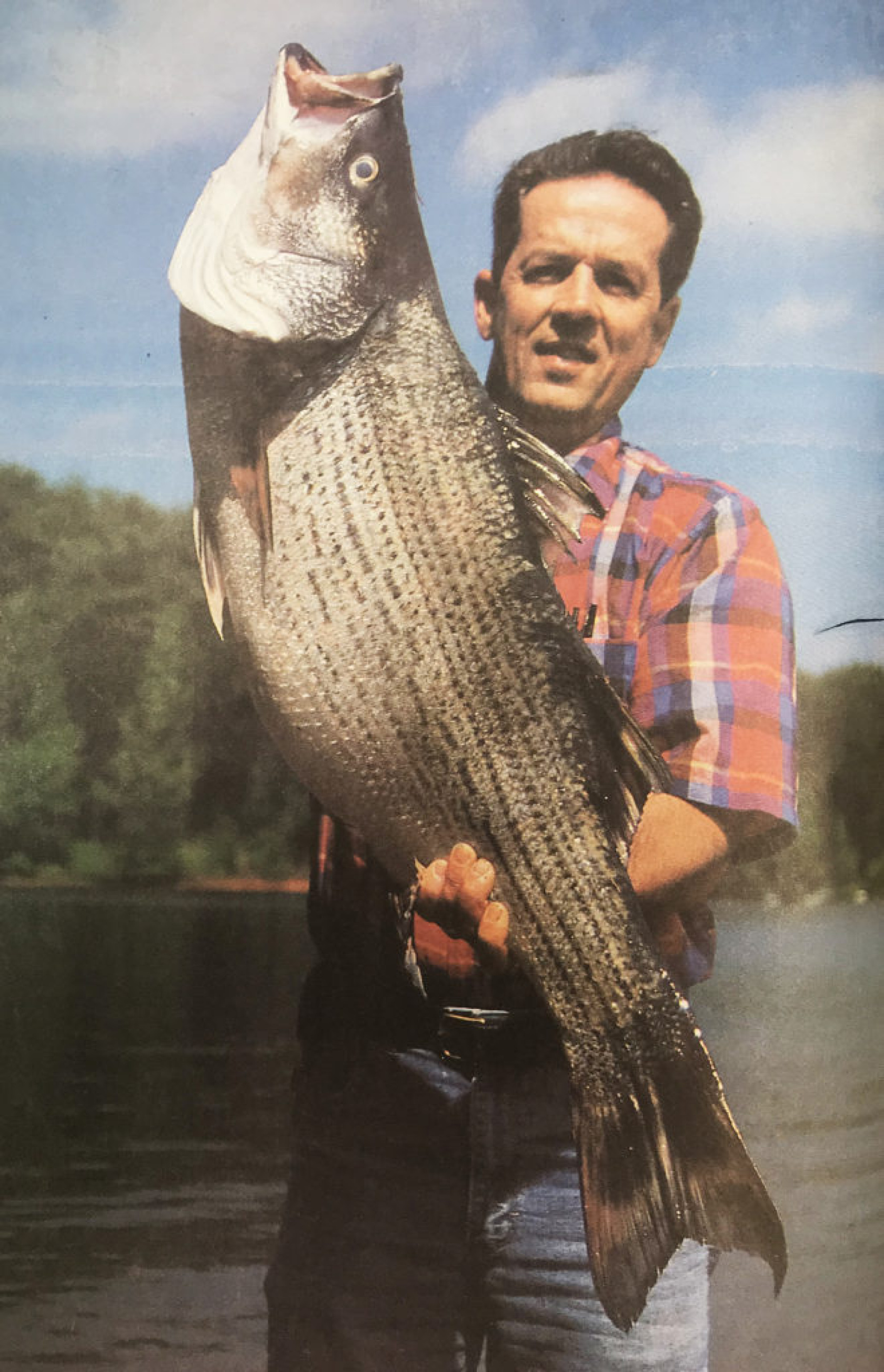 david-hobby-660x1024