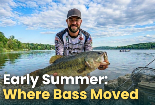 early-summer-where-bass-moved