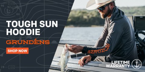 grun_s25_bassforecast_enewsletter_toughsun_650x325px-(1)