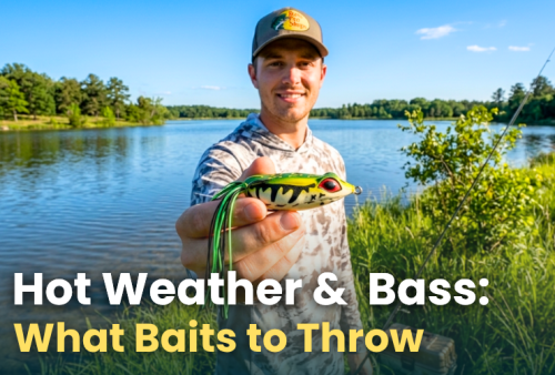 hot-weather-&--bass---what-to-throw-now-summer-