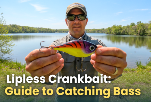 lipless-crankbait-bass-fishing-a-complete-guide-to-catching-largemouth