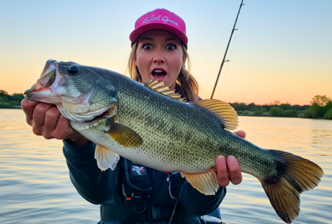 mastering-topwater-fishing-lures-for-bass-tips,-techniques,-and-regional-insights