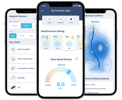 mtb-bf-screenshots-3-phones-550px