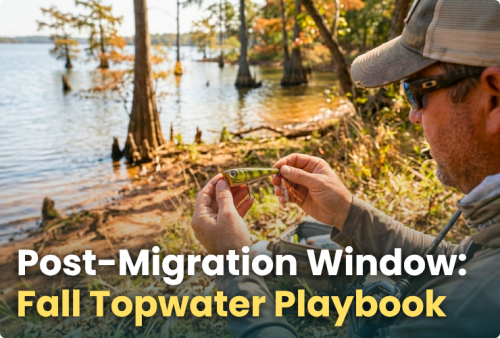 post-migration-window-fall-topwater-playbook