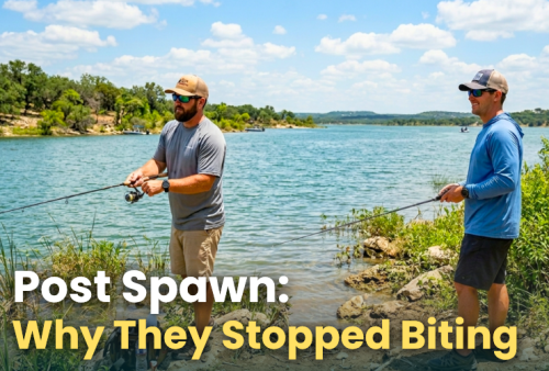post-spawn-bass-biting-fishing-