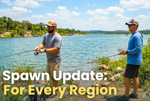 post-spawn-bass-fishing