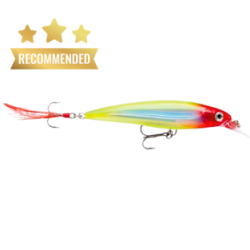 rapala-x-rap-jerkbait-xr10-fishing-lure