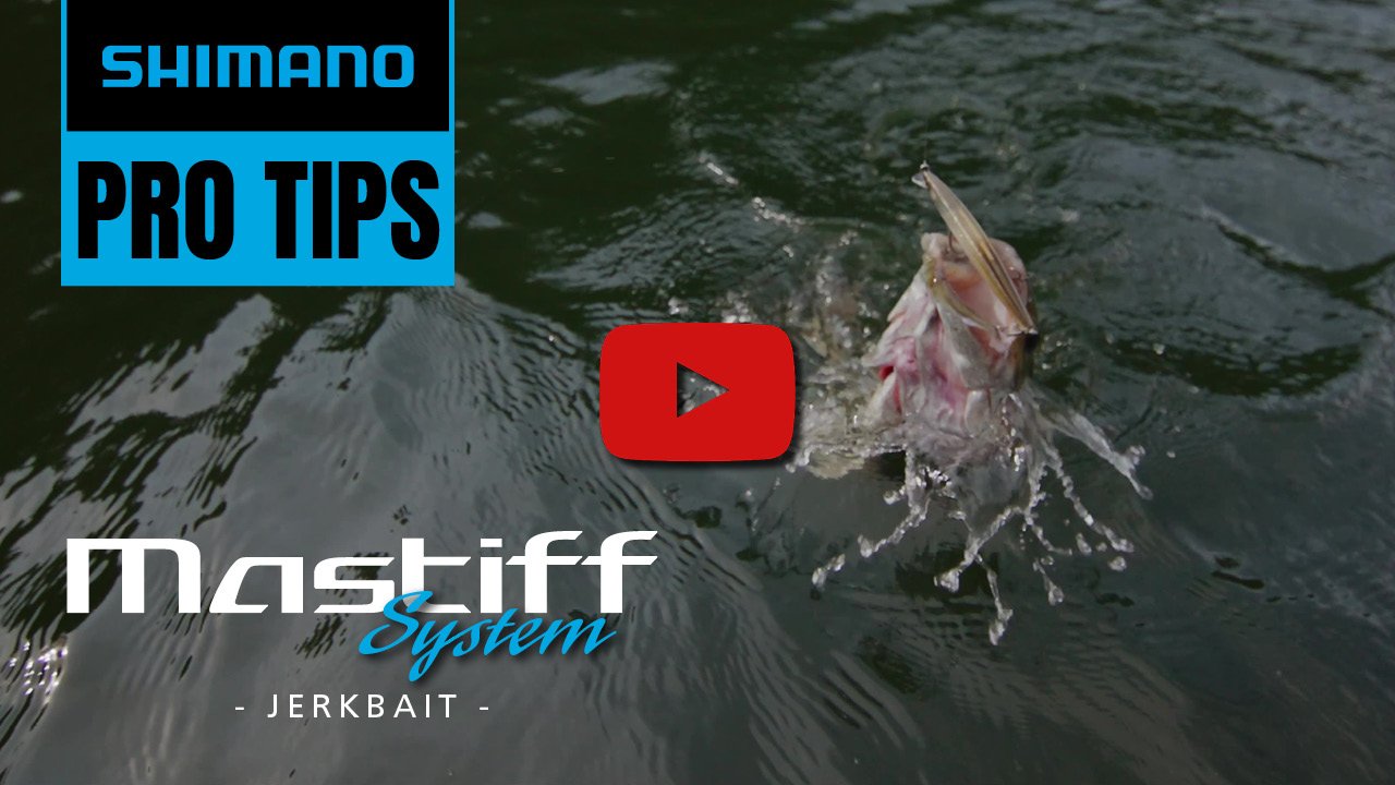 shimano-mastiff-fc-systems-video-2023-jerkbait-thumbnail-w-play-button-2.0