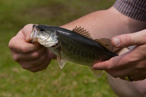 shutterstock_1058317727